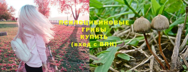 MDMA Premium VHQ Белокуриха