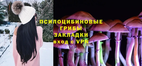 гашик Белоозёрский