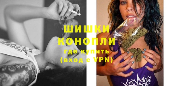 гашик Белоозёрский